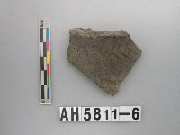 藏品(灰黑色夾砂陶片)的圖片